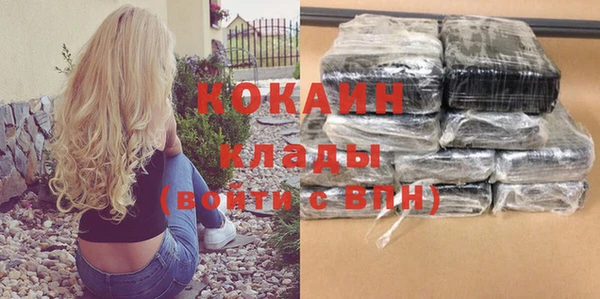 сатива Надым