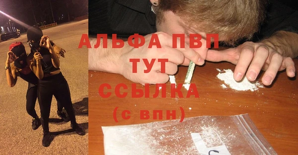 сатива Надым