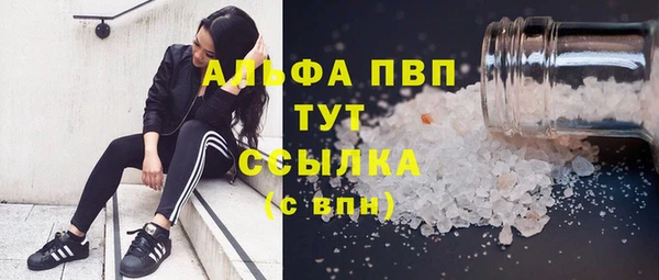сатива Надым